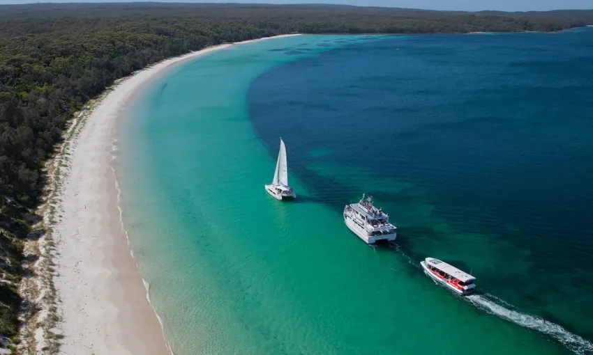 Jervis Bay Dolphin Day Tour from Sydney - Book Now | Experience Oz