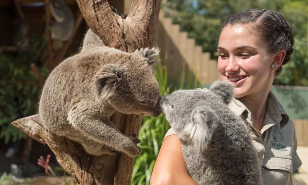 Jervis Bay Dolphin Day Tour from Sydney - Book Now | Experience Oz-7