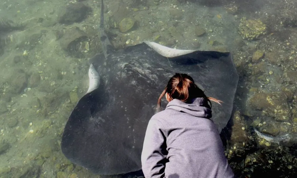 Jervis Bay Dolphin Day Tour from Sydney - Book Now | Experience Oz-9