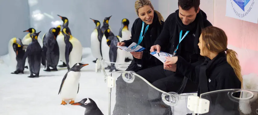 SEA LIFE Melbourne Penguin Encounter - Buy Now | Experience Oz + NZ