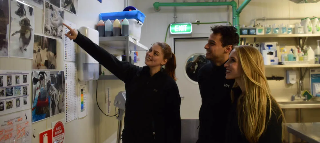 SEA LIFE Melbourne Penguin Encounter - Buy Now | Experience Oz + NZ-4