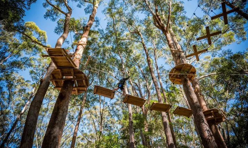 Coffs Harbour Treetop Adventure Park - Book Now | Experience Oz