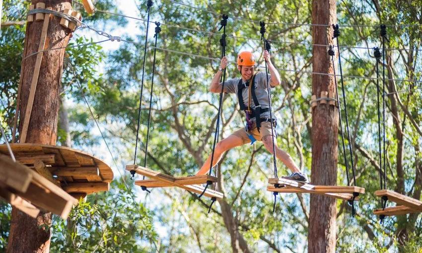 Coffs Harbour Treetop Adventure Park - Book Now | Experience Oz
