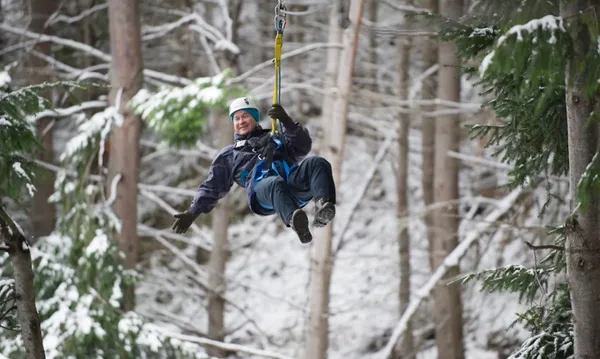 Ziptrek Kereru Tour