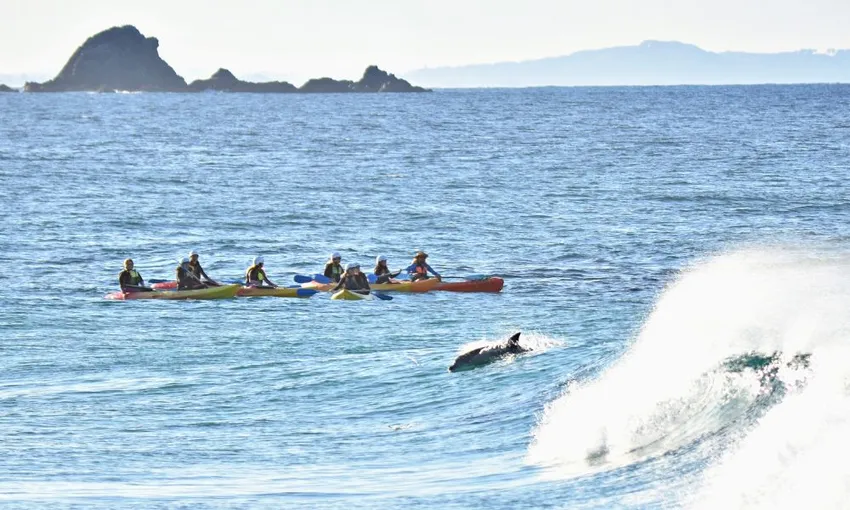 Byron Bay Sea Kayaking Tour - Book Now | Experience Oz