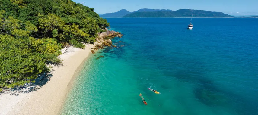 Cairns Whale Watching and Fitzroy Island Adventure | Experience Oz