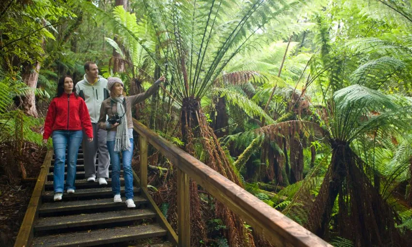 Great Ocean Road, 12 Apostles Bus Tour & Otway Zipline - Departs Melbourne