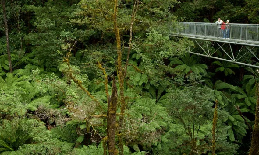 Great Ocean Road, 12 Apostles Bus Tour & Otway Zipline - Departs Melbourne