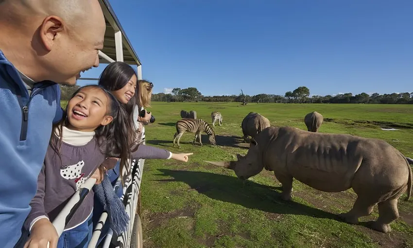 Werribee Open Range Zoo Off Road Safari and Admission 