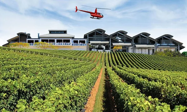 Private Helicopter Flight to Sirromet Winery via Mt Cootha - Brisbane - up to 3 people
