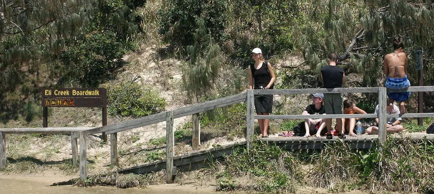 2 Day Fraser Island Camping Tour - Book Now | Experience Oz + NZ