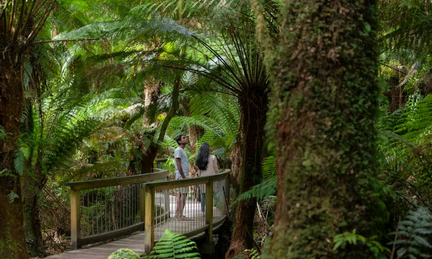 Great Ocean Road Day Trip - Book Now | Experience Oz
