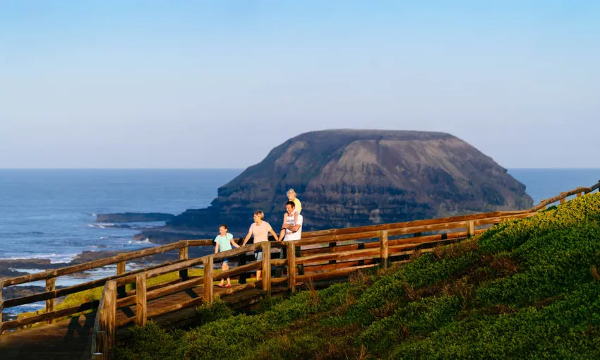 Phillip Island Wildlife Tour From Melbourne - Book Now | Experience Oz