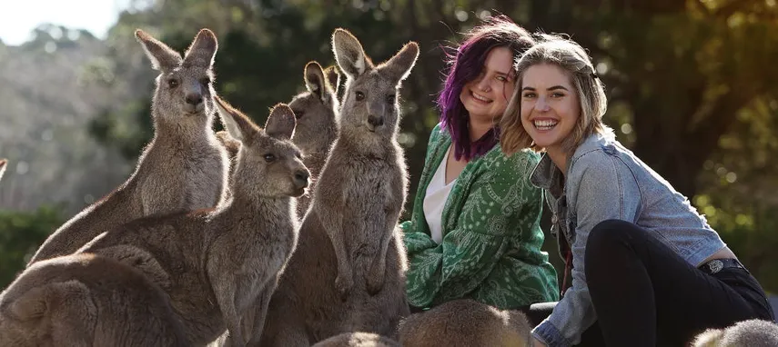 Symbio Wildlife Park Tickets | Experience Oz