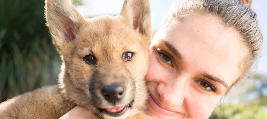Symbio Wildlife Park Tickets | Experience Oz