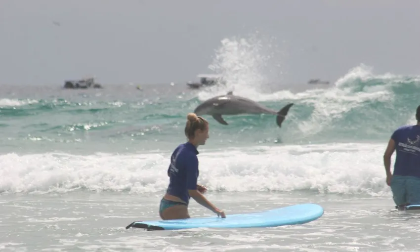  Group Surfing Lesson on the Gold Coast, 2 Hours