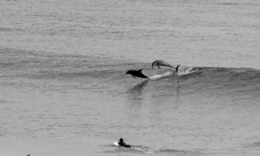  Group Surfing Lesson on the Gold Coast, 2 Hours