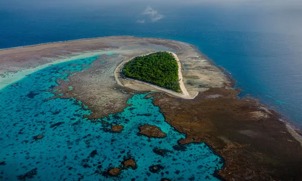 Lady Musgrave Island Day Tour from Town of 1770
