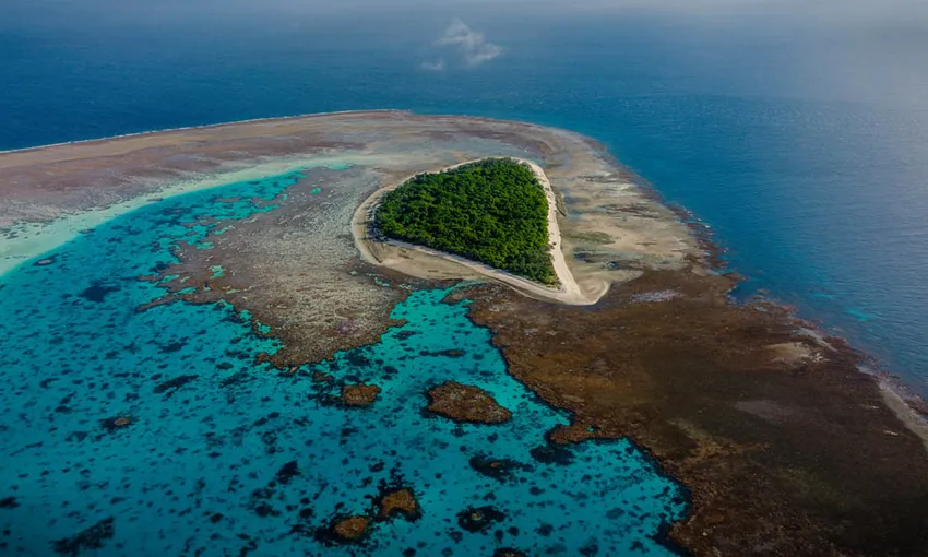 Lady Musgrave Island Day Cruise ex 1770 | Experience Oz