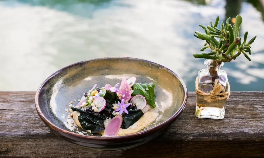 Seaplane Flight With Lunch At Cottage Point Inn - Sydney