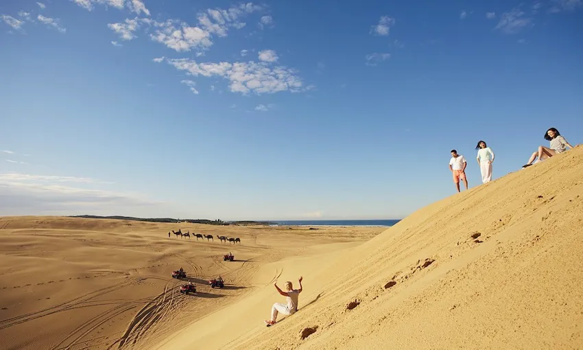 Port Stephens Sand Surfing Safari - Book Now | Experience Oz + NZ