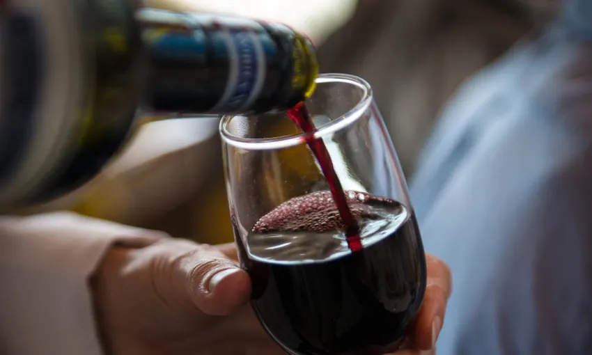Sunshine Coast Food and Wine Tour - Book Now | Experience Oz