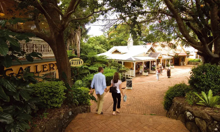 Sunshine Coast Food and Wine Tour - Book Now | Experience Oz