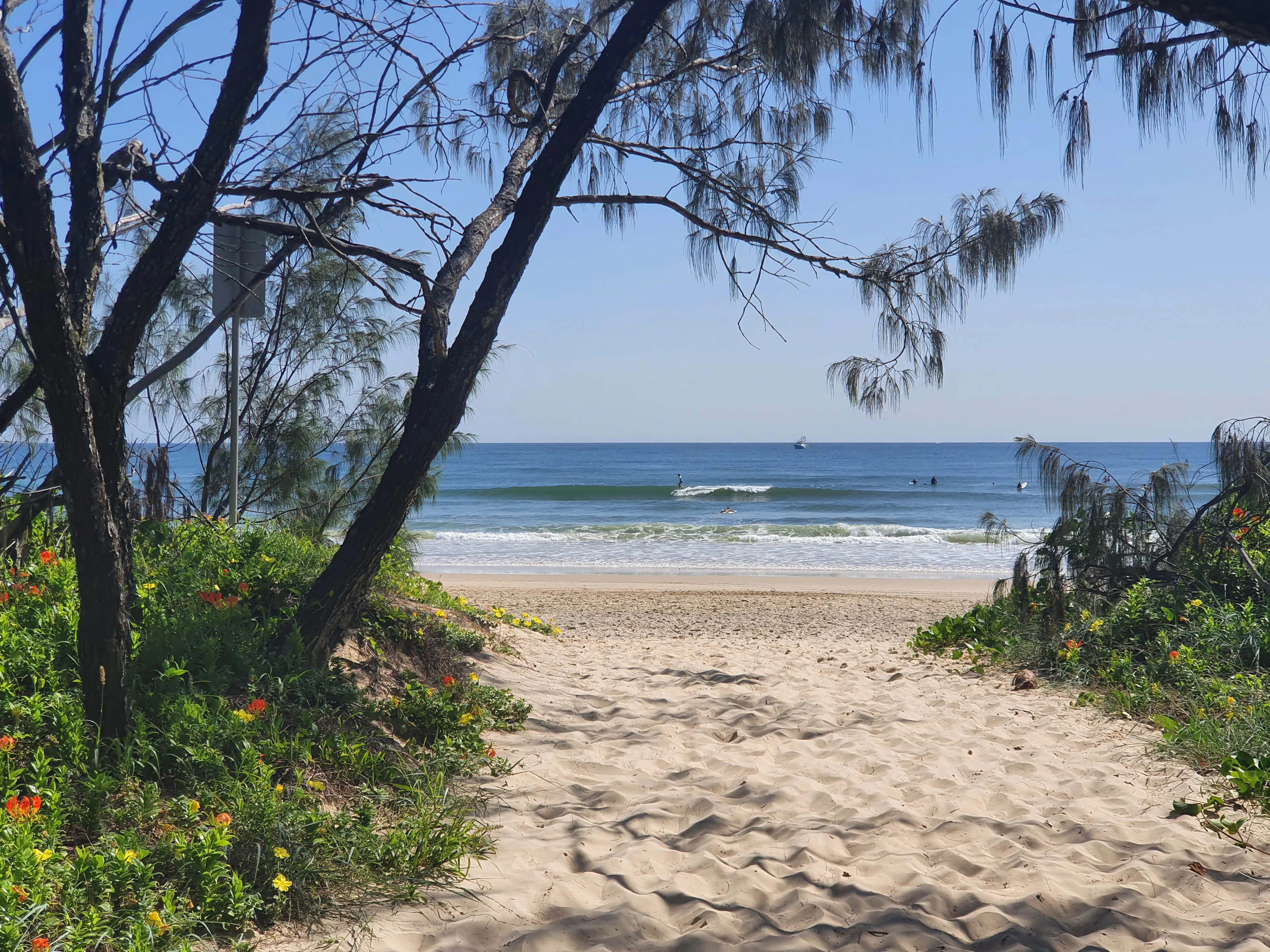 Beginner Surf Lesson on Noosa Beach - 2 Hours | Experience Oz-16