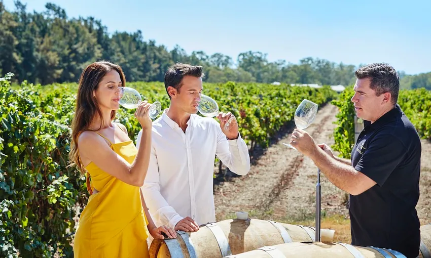 Swan Valley Winery Tour With Lunch From Perth | Experience Oz