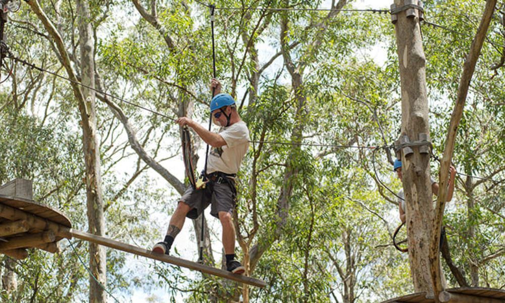 Treetops Climb and Zipline Experience, 2.5 Hours - Sydney
