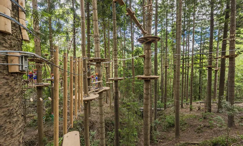 Treetops Climb and Zipline Experience, 2.5 Hours - Sydney