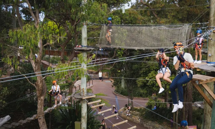 Treetops Climb and Zipline Experience, 2.5 Hours - Sydney