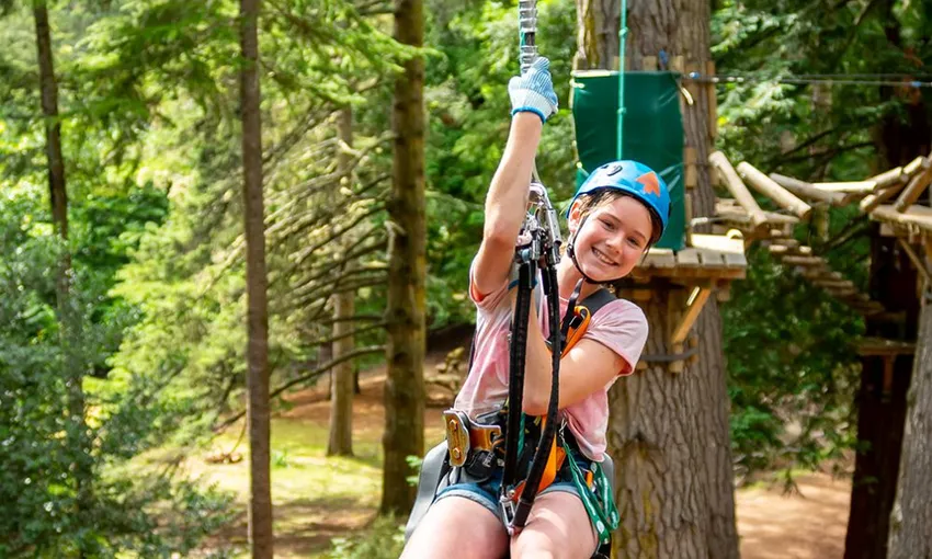 Treetops Climb and Zipline Experience, 2.5 Hours - Sydney