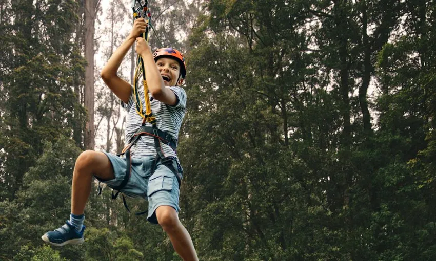 Treetops Climb and Zipline Experience, 2.5 Hours - Sydney