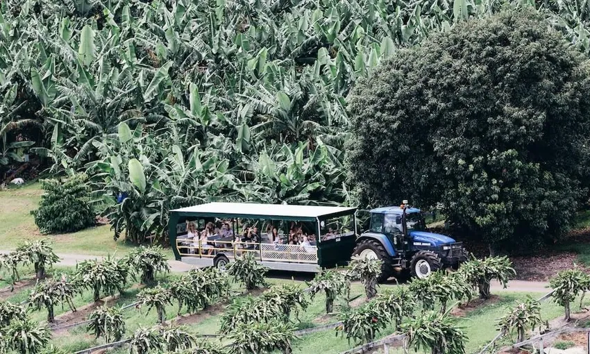 Tropical Fruit World Tickets - Book Now | Experience Oz