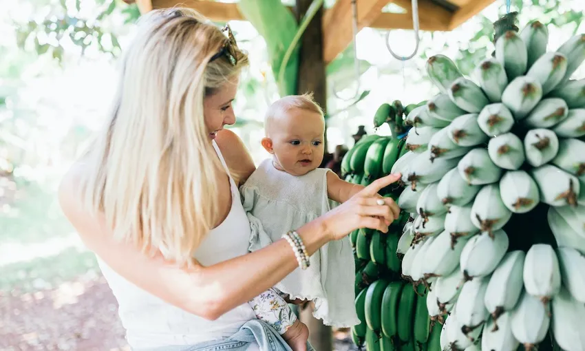 Tropical Fruit World Tickets - Book Now | Experience Oz
