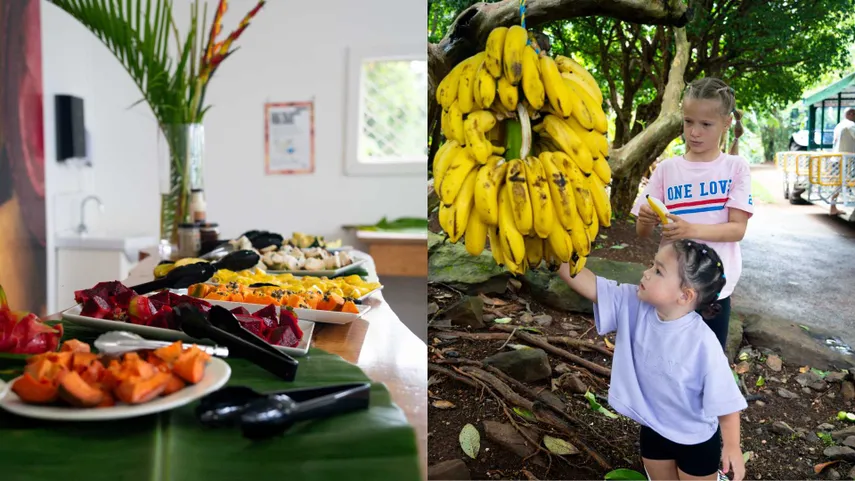Tropical Fruit World Tickets - Book Now | Experience Oz