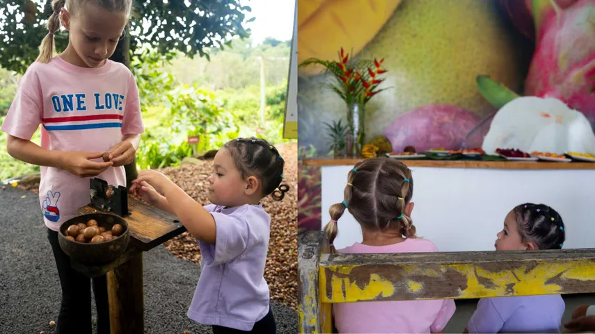 Tropical Fruit World Tickets - Book Now | Experience Oz