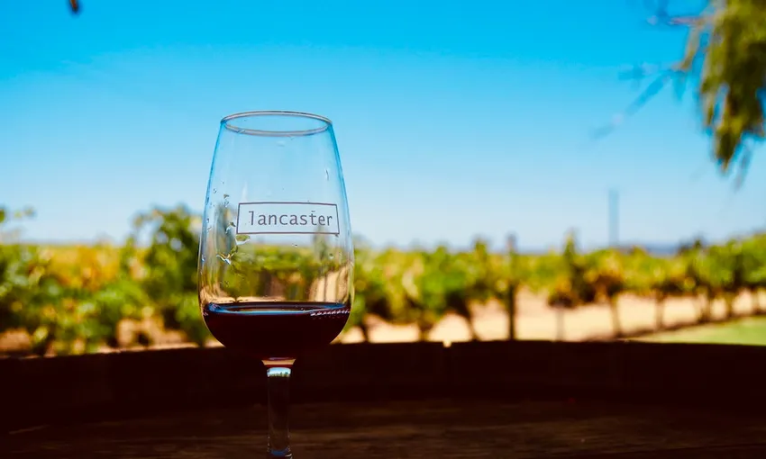 Swan Valley Winery Tour & Cruise from Perth | Experience Oz