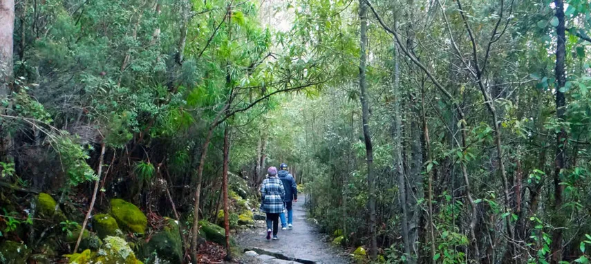 kunanyi Mt Wellington Explorer Bus 2.5 Hour Return Tour | Experience Oz