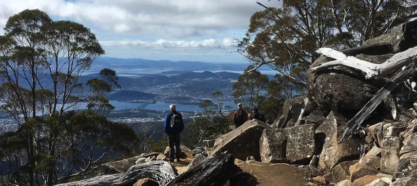kunanyi Mt Wellington Explorer Bus 2.5 Hour Return Tour | Experience Oz