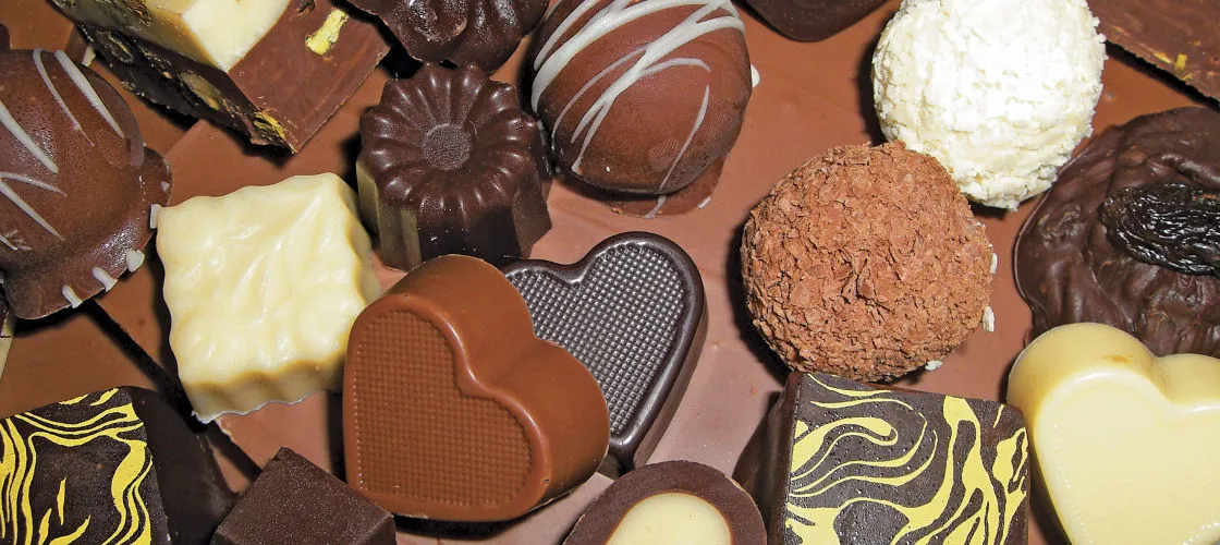 Cairns Food and Wine Tour with Lunch | Experience Oz-3