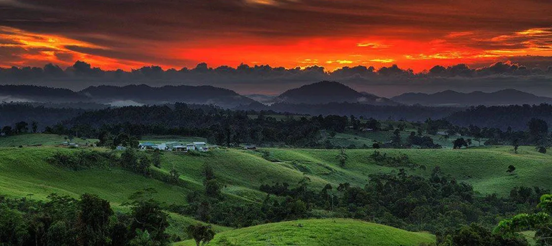 Cairns Food and Wine Tour with Lunch | Experience Oz-6