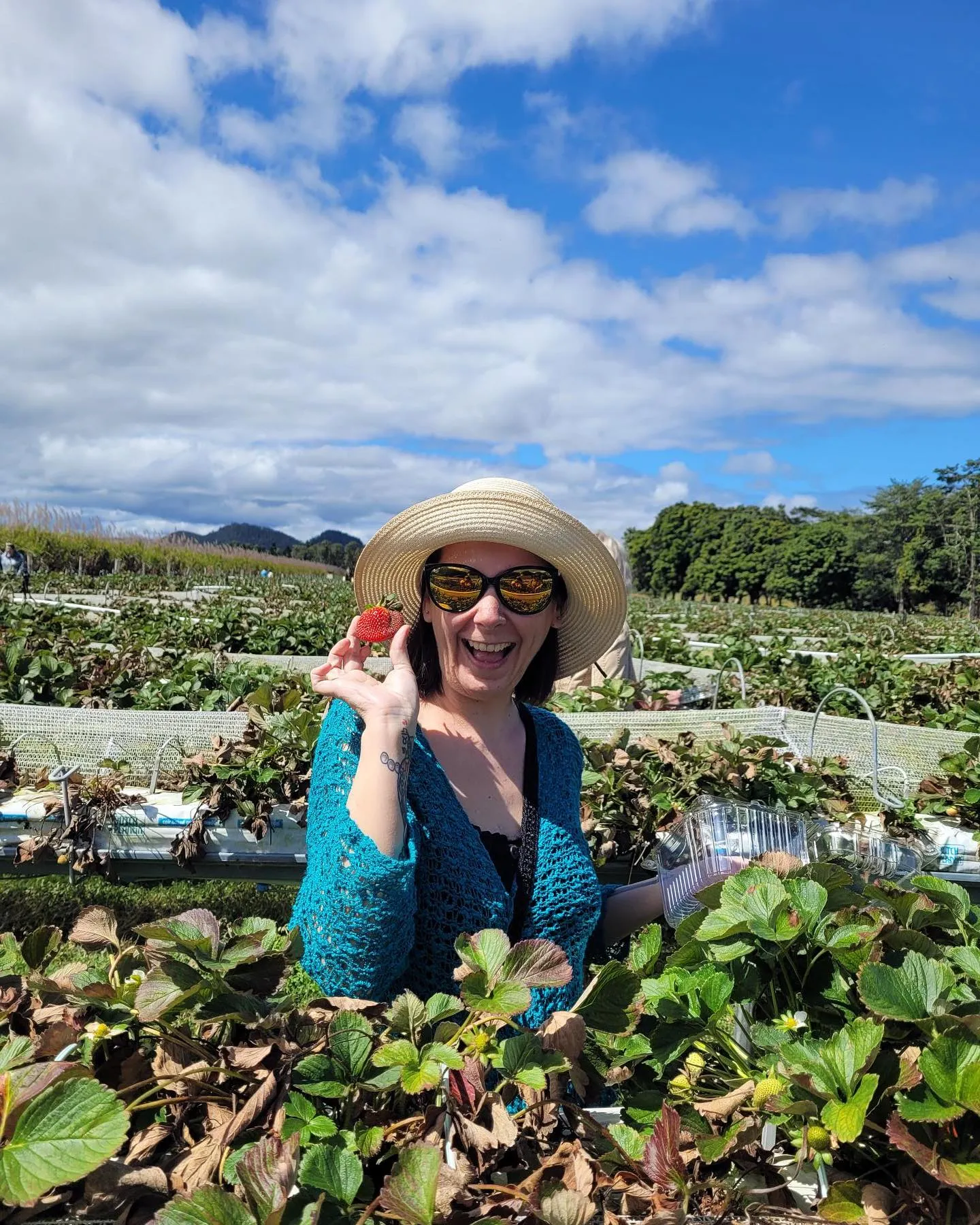 Cairns Food and Wine Tour with Lunch | Experience Oz-17