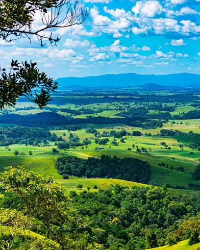 Cairns Food and Wine Tour with Lunch | Experience Oz
