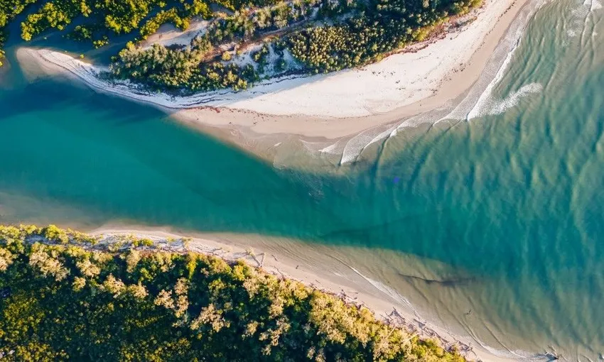 Daintree & Cape Tribulation Rainforest Adventure | Experience Oz