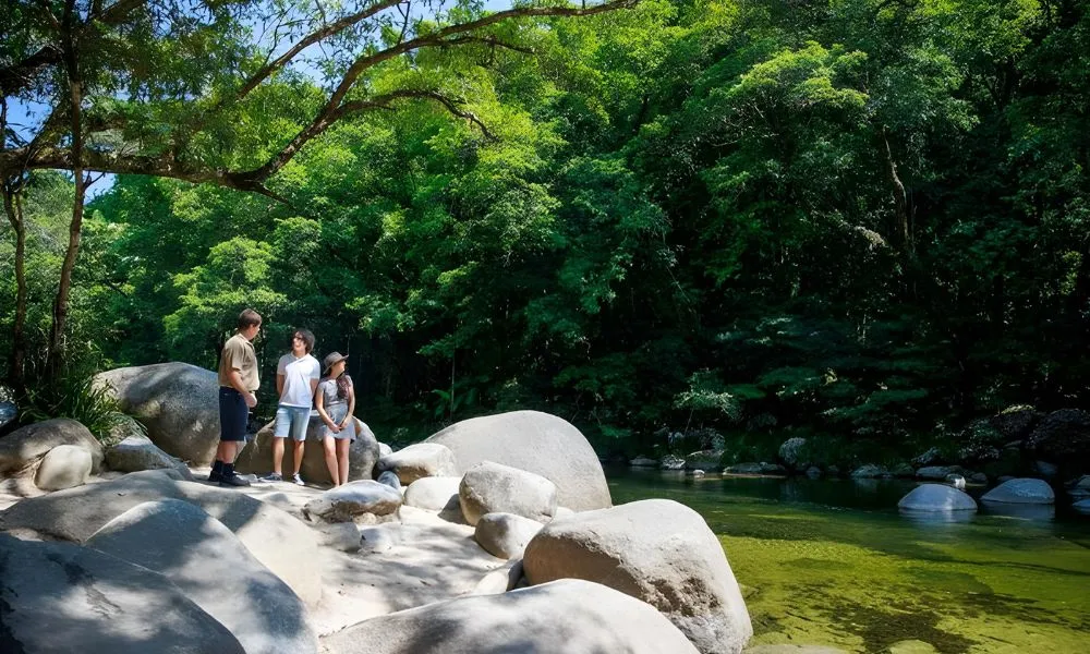 Daintree & Cape Tribulation Rainforest Adventure | Experience Oz-7