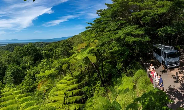 Daintree & Cape Tribulation Rainforest Adventure - Full Day