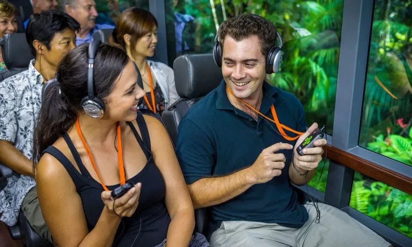 Daintree & Cape Tribulation Rainforest Adventure | Experience Oz
