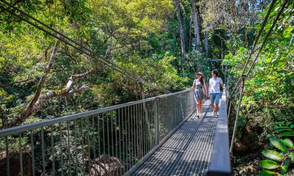 Daintree & Cape Tribulation Rainforest Adventure - Full Day